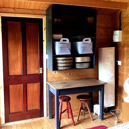 Unique Tiny House Near 3 Peaks - The Zedshed Appartement Bentham Buitenkant foto