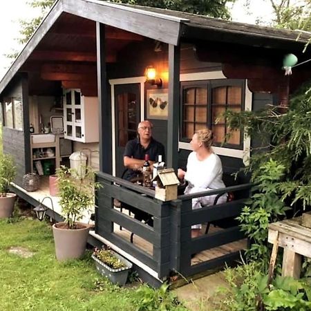 Unique Tiny House Near 3 Peaks - The Zedshed Appartement Bentham Buitenkant foto