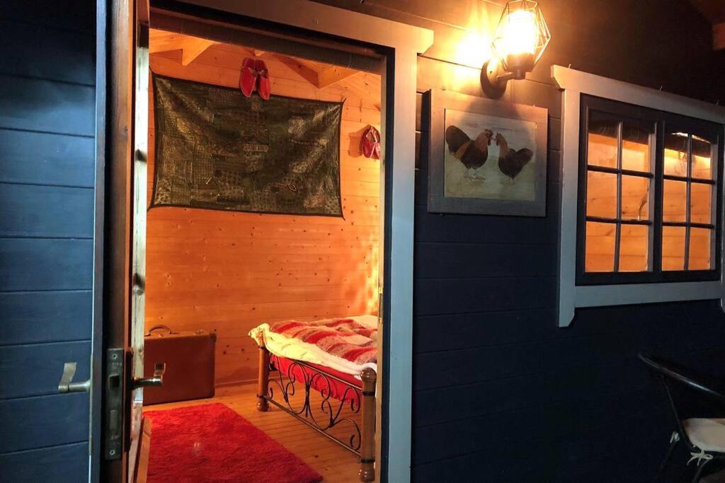 Unique Tiny House Near 3 Peaks - The Zedshed Appartement Bentham Buitenkant foto